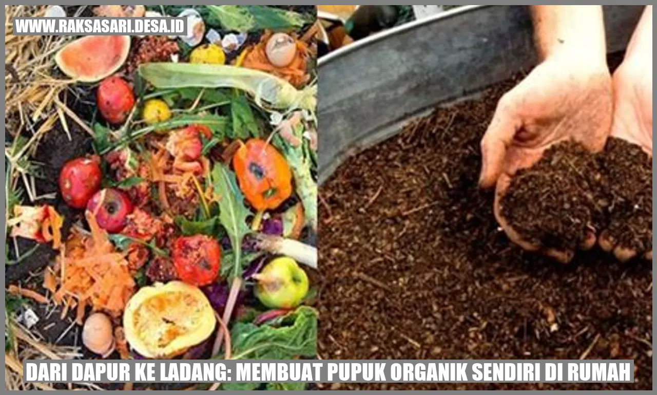 Dari Dapur ke Ladang: Membuat Pupuk Organik Sendiri di Rumah