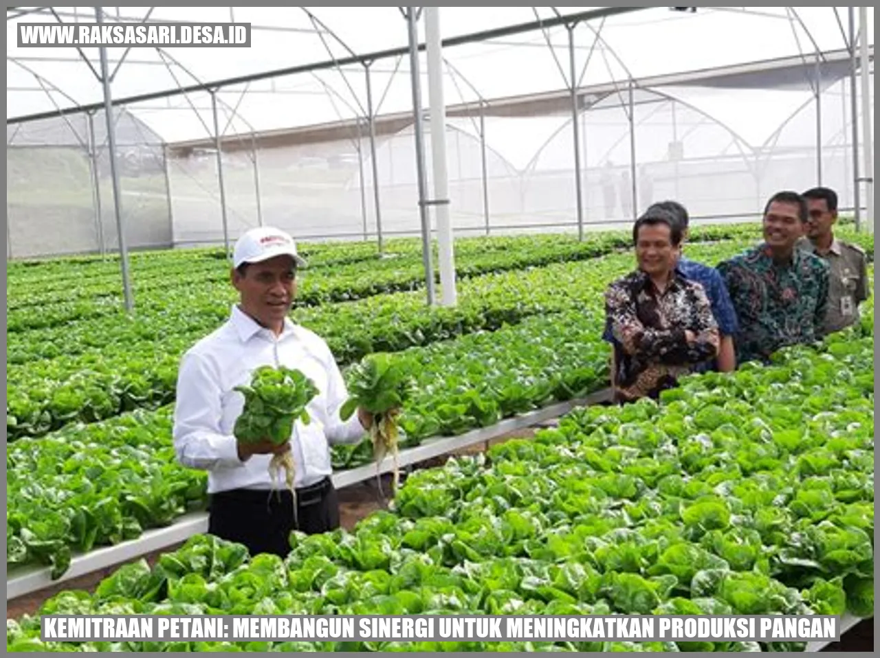 Kemitraan Petani: Membangun Sinergi untuk Meningkatkan Produksi Pangan