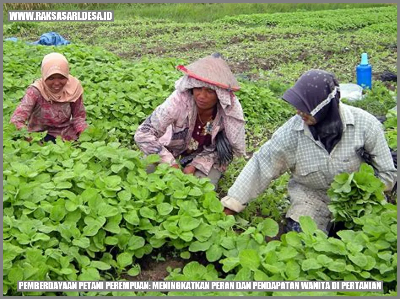 Pemberdayaan Petani Perempuan