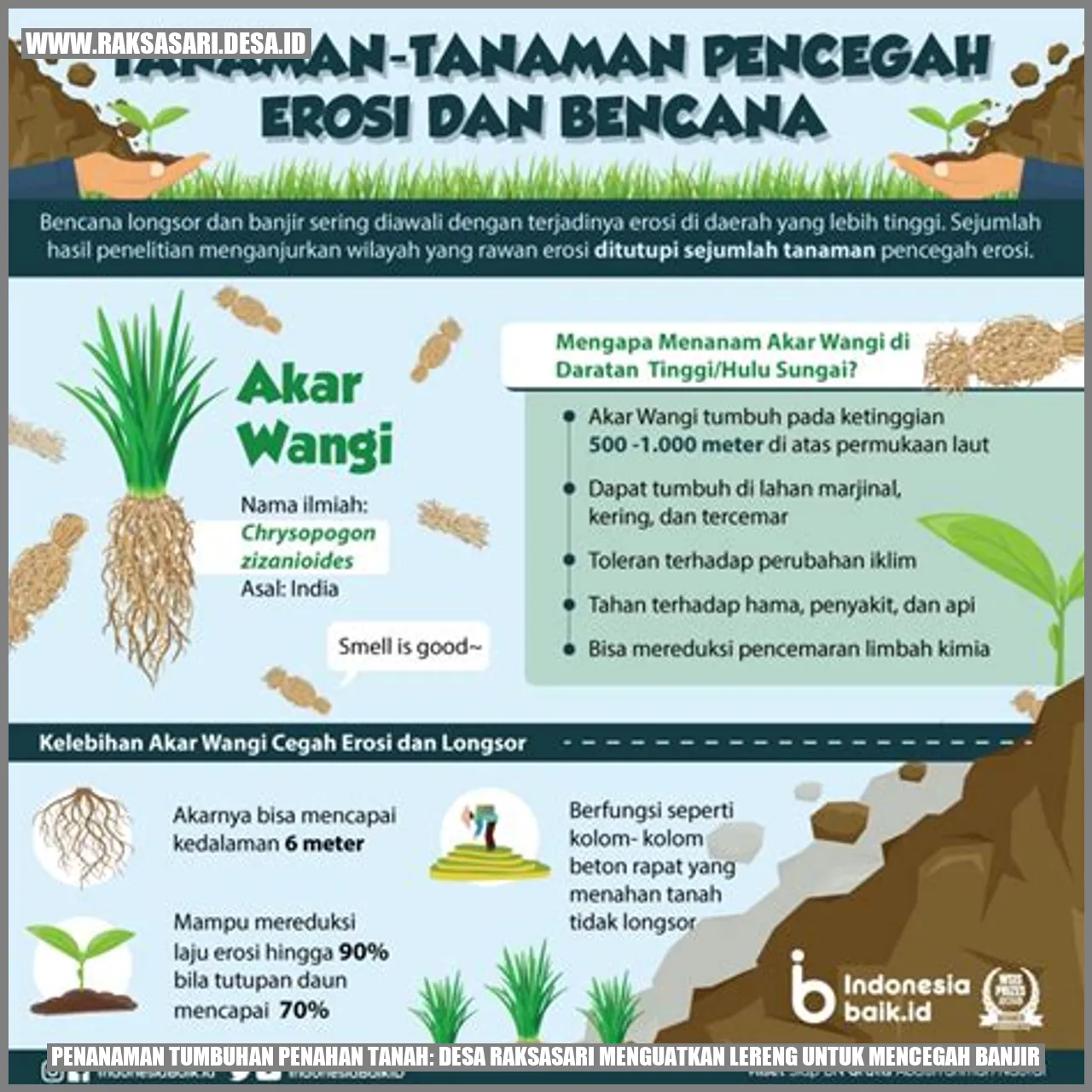 Desa Raksasari: Tumbuhan Kuat Melawan Banjir