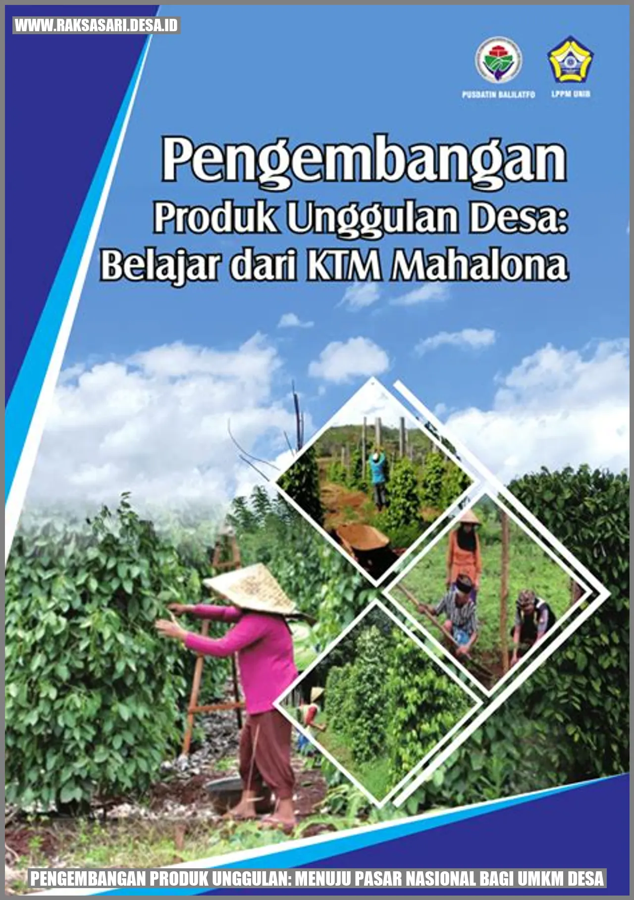 Pengembangan Produk Unggulan: Menuju Pasar Nasional bagi UMKM Desa