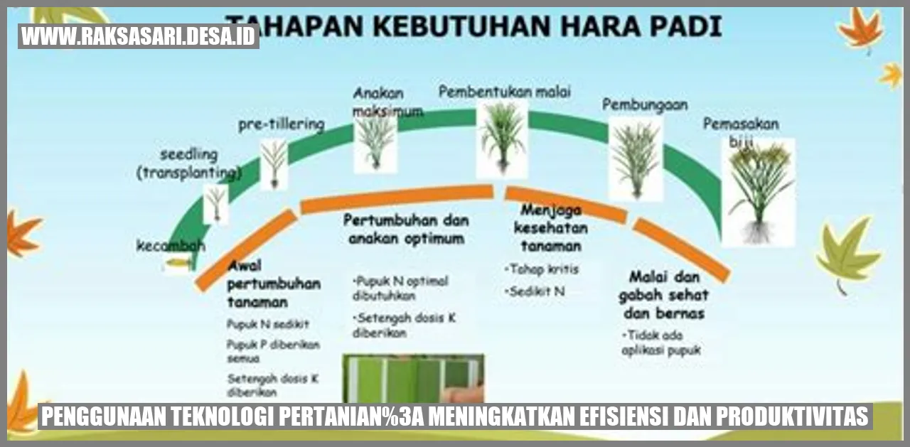 Penggunaan Teknologi Pertanian: Meningkatkan Efisiensi dan Produktivitas