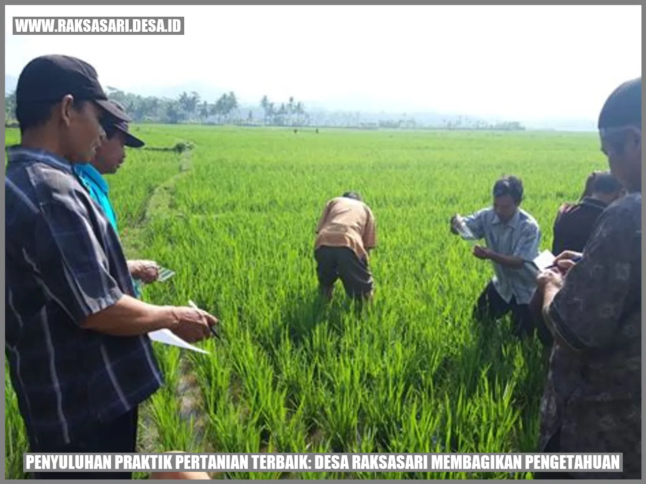 Penyuluhan Praktik Pertanian Terbaik: Desa Raksasari Membagikan Pengetahuan