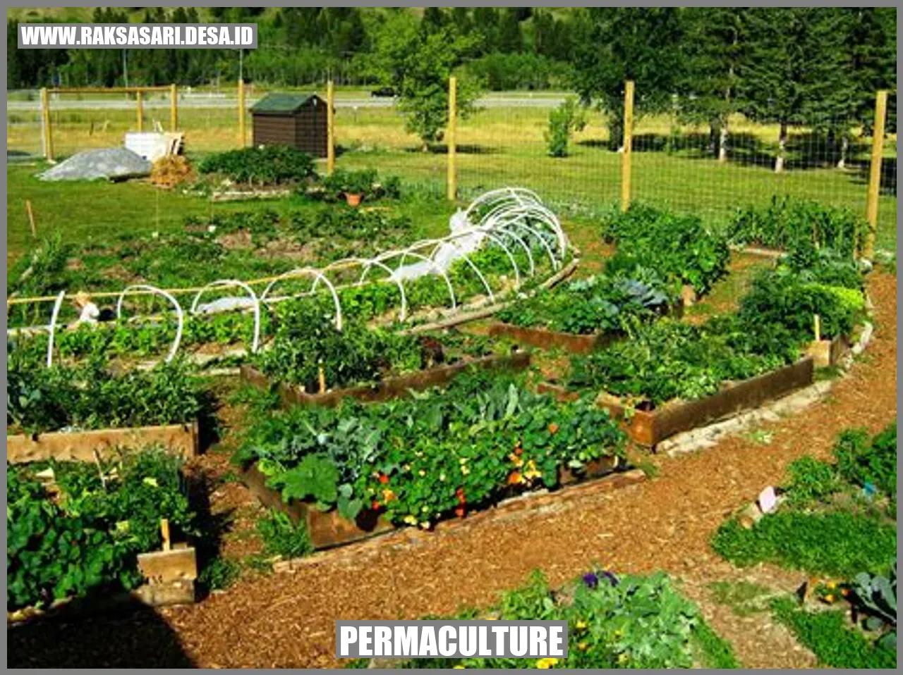 Gambarr permaculture